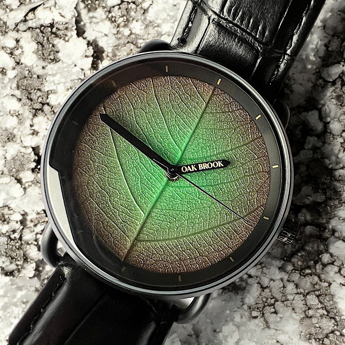 Oak Brook Heritage Leaf Signature Watch