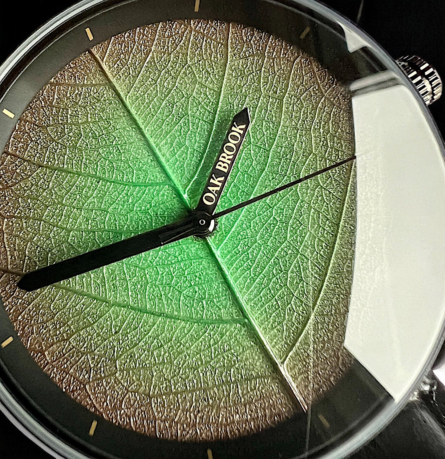 Oak Brook Heritage Leaf Signature Watch